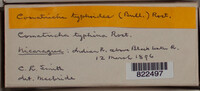 Image Associated With the Occurence
